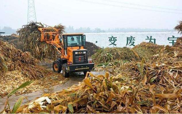 黑土地上的‘秸稈經(jīng)紀(jì)人’要讓秸稈牛起來，變成‘寶’